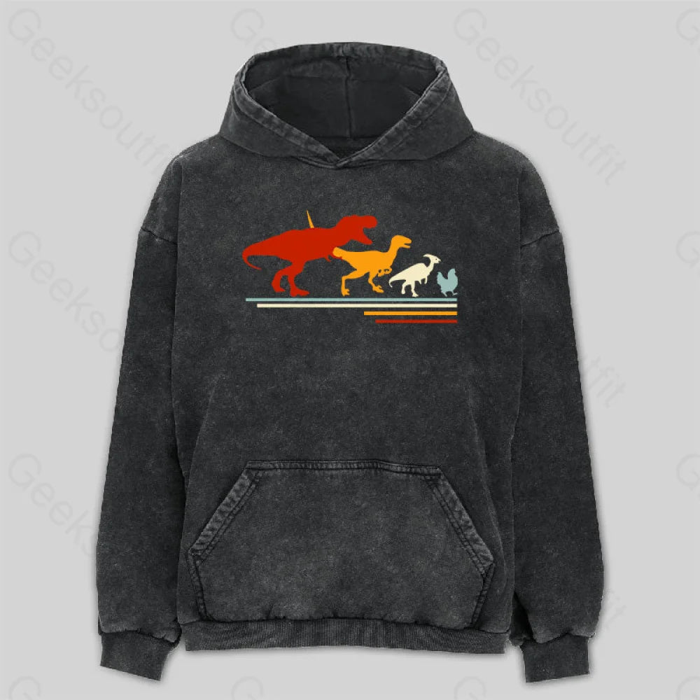 Dinosaur Evolution Washed Hoodie